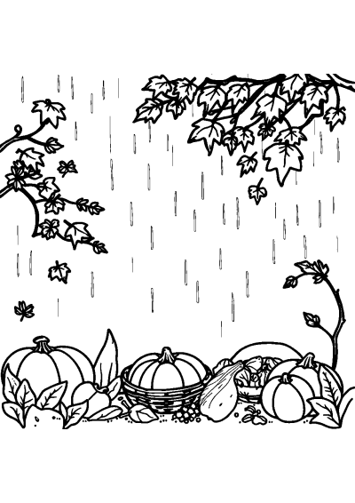 Autumn Harvest In Rain Coloring Page