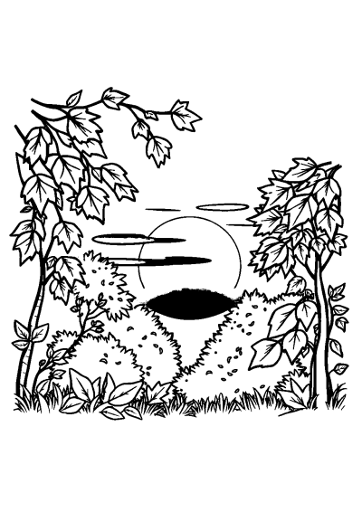 Autumn Leaves At Sunset Coloring Page