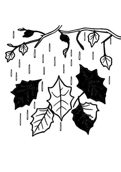 Autumn Leaves In Rain Coloring Page