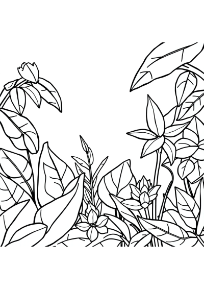 Baby Rainforest Plants Coloring Page