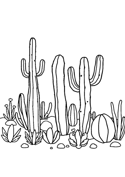 Cactus Desert In Garden Coloring Page
