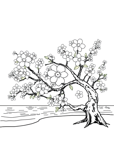 Cherry Blossom Tree On Beach Coloring Page
