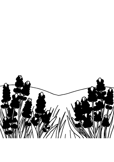 Cute Lavender Field Coloring Page