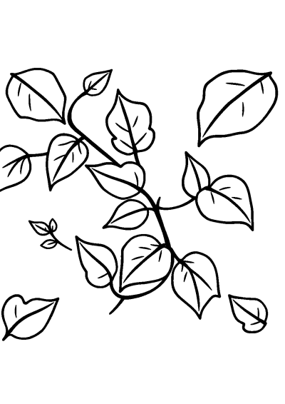 Cute Vine With Leaves Coloring Page