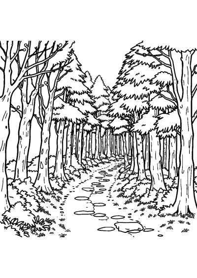 Detailed Forest Path Coloring Page