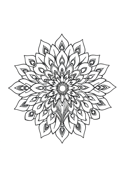 Printable Detailed Peacock Feather Mandala Coloring Page