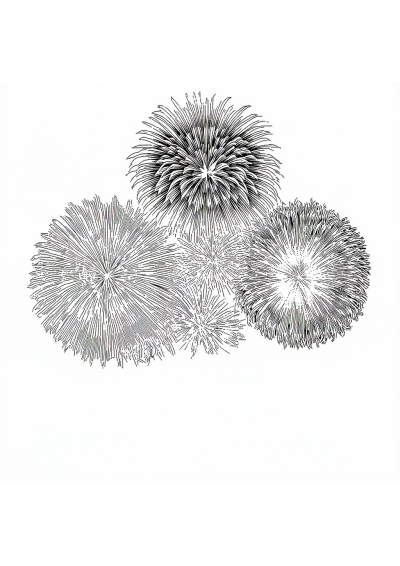 Fireworks Celebration Coloring Page