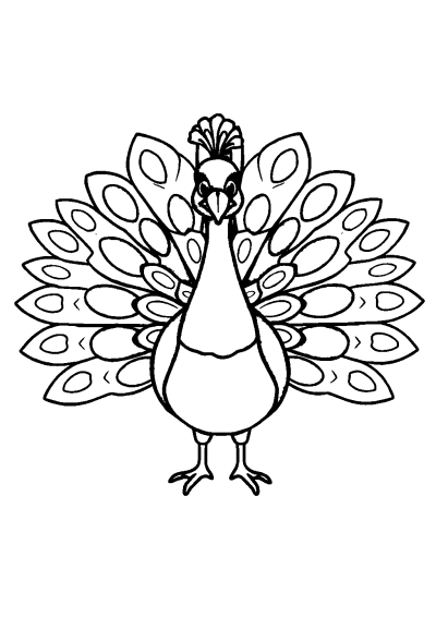 Friendly Peacock With Feathers Spread Coloring Page