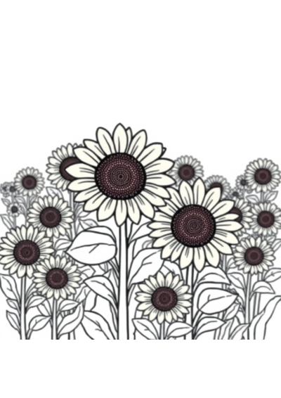 Friendly Sunflower Field Coloring Page