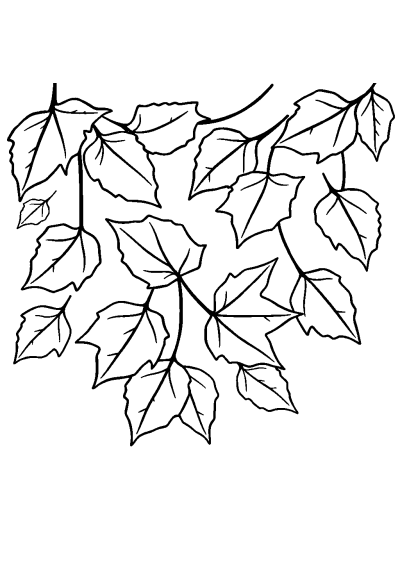 Graceful Autumn Leaves Coloring Page