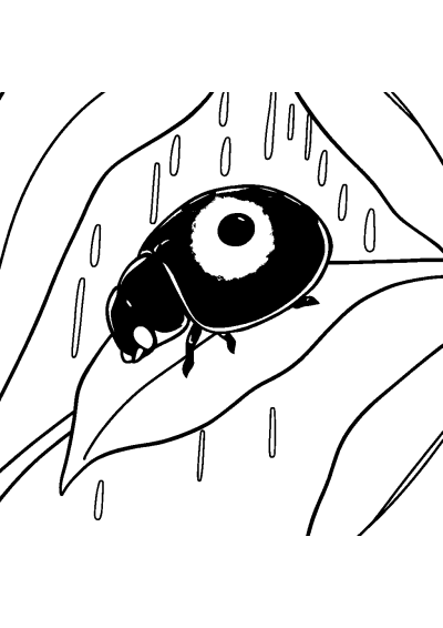 Ladybug On Leaf In Rain Coloring Page