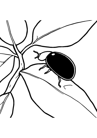 Ladybug On Leaf In Winter Coloring Page