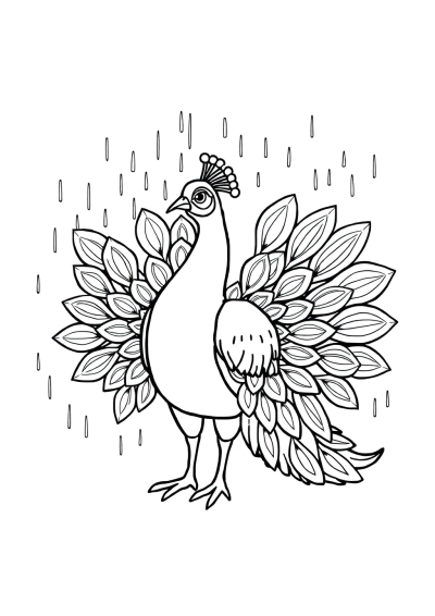 Peacock With Feathers Spread In Rain Coloring Page