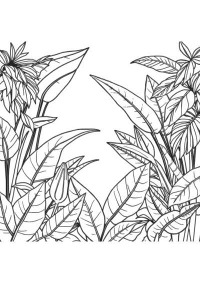 Rainforest Plants Coloring Page