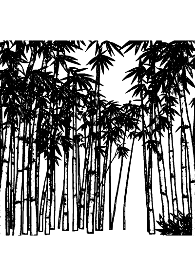 Realistic Bamboo Forest Coloring Page