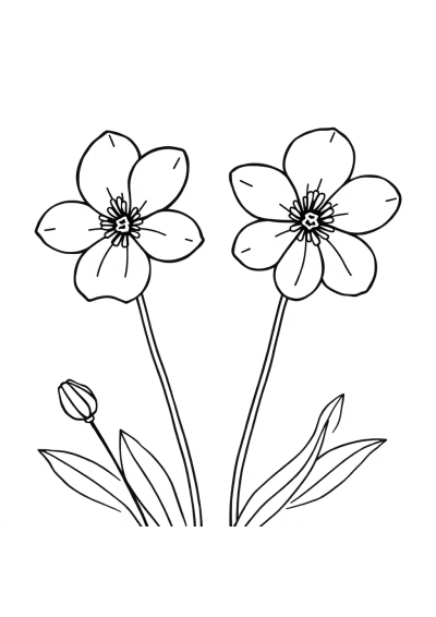 Simple Spring Blossoms Coloring Page