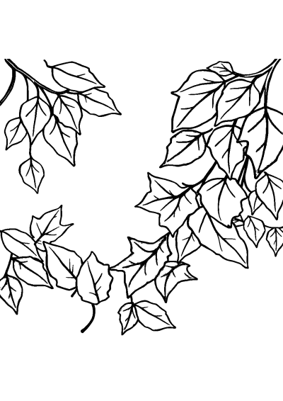 Printable Sleepy Autumn Leaves Coloring Page