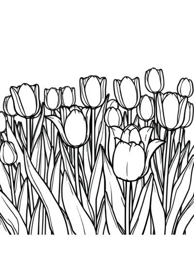 Tulip Garden Coloring Page