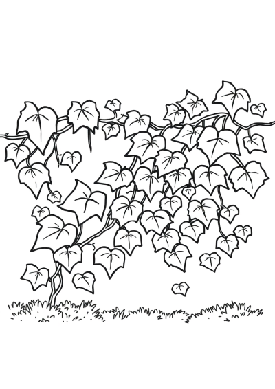 Vine With Leaves At Night Coloring Page