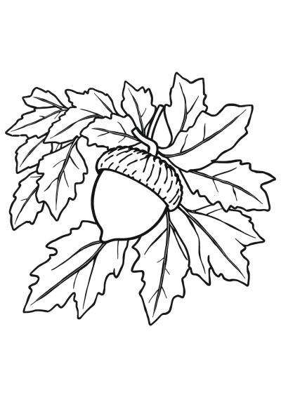 Wild Acorn And Oak Leaves Coloring Page