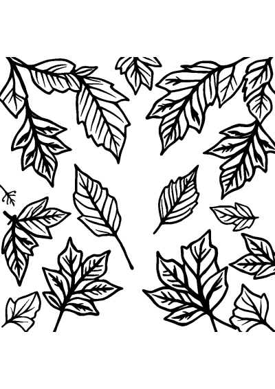 Zentangle Style Autumn Leaves Coloring Page